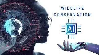AI and Wildlife Conservation: How Algorithms are Helping to Protect Endangered Species
