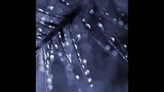 evryn - time is wasted