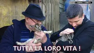 I NOSTRI AUGURI PER UNA PASQUA DI PACE E GIOIA
