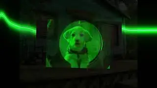 There Ain't No Bugs On Me (K9 Advantix Remix)