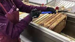 First Day extracting 2021