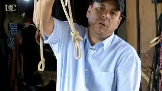 Knot for tying up during horseback riding