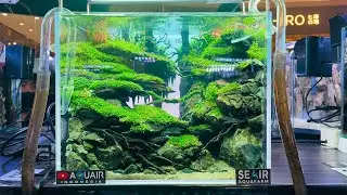 🔴 [LIVE] AQUAIR SCAPING FESTIVAL 2021 - Beginner Class