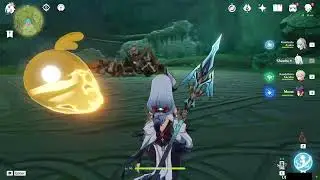 I finally got my Calamity for Shenhe | Ayaka  X Shenhe | Genshin Impact