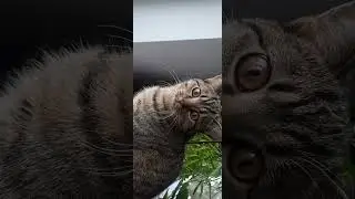 Против съёмки