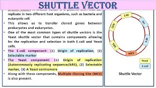 Shuttle Vector | Study Smart Not Hard