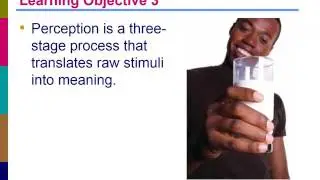 MKTG 3202 – Consumer Behavior: Perception (5)