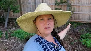 Creating a Beautiful Perennial Cottage Garden !