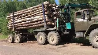 Урал 5557 лесовоз. Вожу березу.