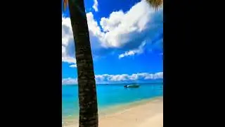 Travel#3