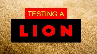 LION!!! Roblox Testing A