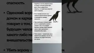 Народные ПРИМЕТЫ про ВОРОН 