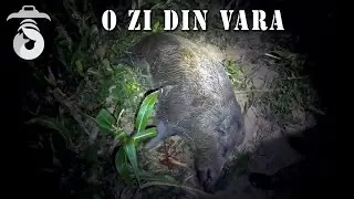 O zi din vara (A summer day)