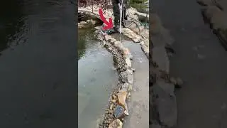 РУЧЕЙ впадает в ПРУД ? Лайфхак для уборки ручья | ПРУД ПРУДИ
