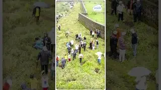 Mega Tree Plantation Drive | ReGreen Nashik