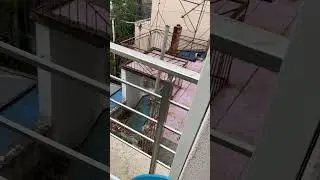 Приручаем кошку! День 13. Показываю, как она уходит!
