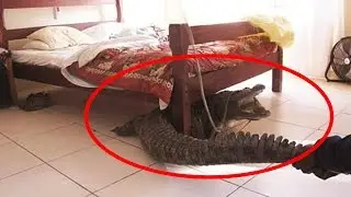 10 Most CREEPIEST Things Found In Hotel Rooms