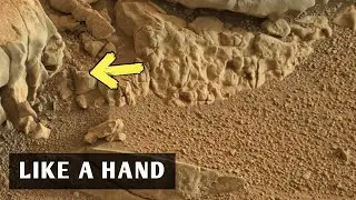 New Images from Zhurong Mars rover | Zhurong  Rover captured these Images