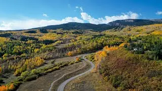 Chasing #Aspen Trees in Colorado