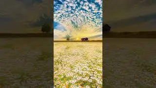 #viralvideo #gsm #ankul #sadaestheticedits #bollywoodsongs #aesthetic #explorepage #a #exploremore