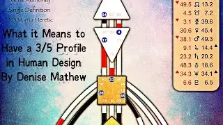 What it Means to Have a 3/5 Profile in Human Design By Denise Mathew