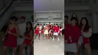 tik tok da luiza parente