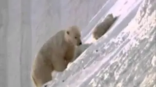Позитив