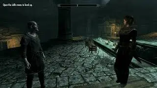 Skyrim Thalmor Follower Mod - Thalmor Justiciar Ayrenn pretends to be a clown and fails miserably