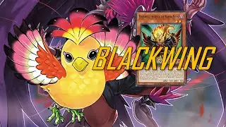 [NEW] BLACKWING deck Dec.2022 | Post Premium Pack 2023