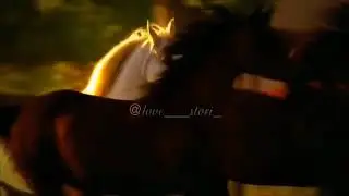 Красивое видео про лошадей под классическую музыку.Советую Всем посмотреть.Подписывайтесь