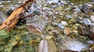 Early Spring Hot Springs Trip in the zuki vitara & toyota pickup