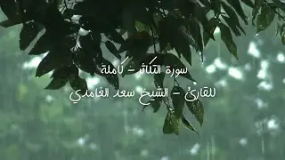 سورة التكاثر - کاملة للقارئ - الشيخ سعد الغامدي