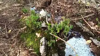 ruchei private