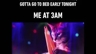 Oh sleep, why have you forsaken me? (By Meow Mix)