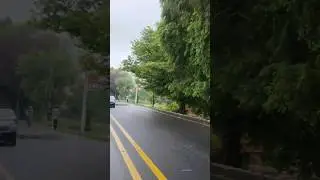 Calm weather after rain #weather #rain