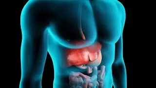 What Does Your Liver Do? | Liver Functions Explained | WebMD