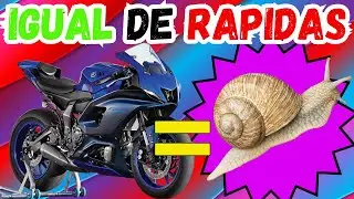 MOTOS QUE PARECEN RÁPIDAS PERO SON UN CARACOL PARTE 2