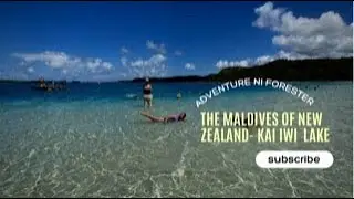 The Maldives of New Zealand- Kai iwi Lake||Adventure ni Forester