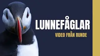 Bland lunnefåglar, havsulor & magiska landskap