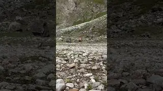 Crossing stone field running barefoot