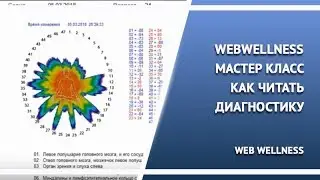 WebWellness Мастер класс Как читать диагностику 2018.03.21 Оксана Кириллова