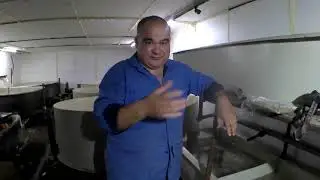 Мясное блюдо для Сома )