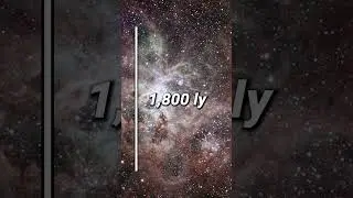 The Tarantula Nebula 