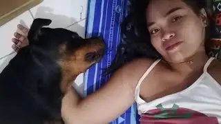My sewing room with rottweiler