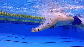 EVERYDAY WETNESDAY LIVE ANIMATION How To Swim 100m Butterfly!