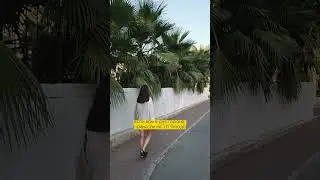 Что 
