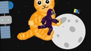 Кот
