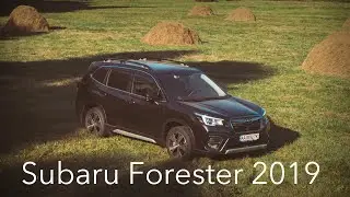 Тест-драйв Subaru Forester: заграница нам поможет