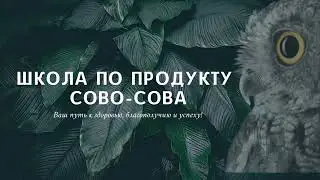 Школа по продукту Сово Сова