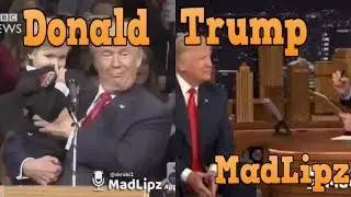 Madlipz Donald Tramp